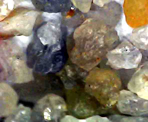 Brechsand unter dem Mikroskop Ungleichmäßig große Gesteinskörner mit scharfen Kanten